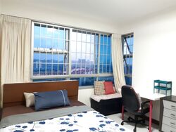 Commonwealth Drive (Queenstown),  #401140301